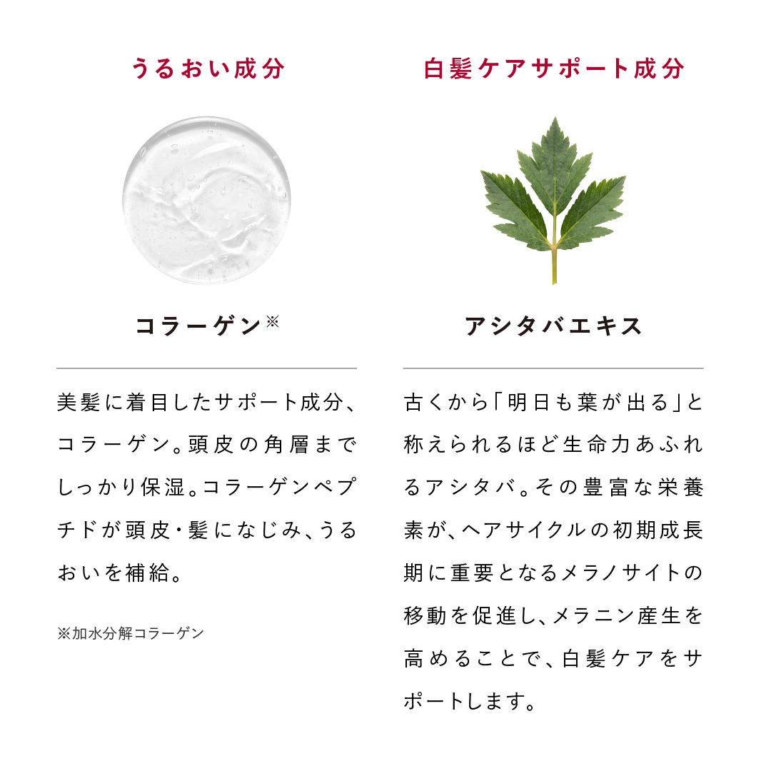 育毛剤 女性 育毛 発毛 薄毛 スカルプＤボーテ アンド クレアージュ メディカルエストロジー スカルプセラム つめかえ用 アンファー 女性用 レディース | スカルプD ボーテ | 17