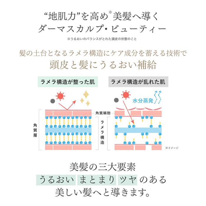 スカルプD ボーテ シャンプー トリートメント 詰め替え 育毛剤 3点セット 育毛リンスセット 女性用 頭皮 保湿 スカルプＤボーテ レディース | スカルプD ボーテ | 18