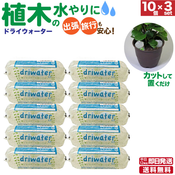 ドライウォーター10個 3セット 長期旅行 水やり 長期旅行 Su Dwater 2 3p Trend Street Yahoo 店 通販 Yahoo ショッピング