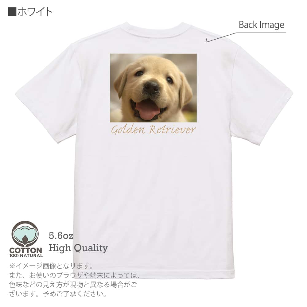 【希少】ジューシークチュール Tシャツ柄 チャーム グリーン ゴールド 犬 箱付 希少】ジューシークチュール Tシャツ柄 チャーム グリーン