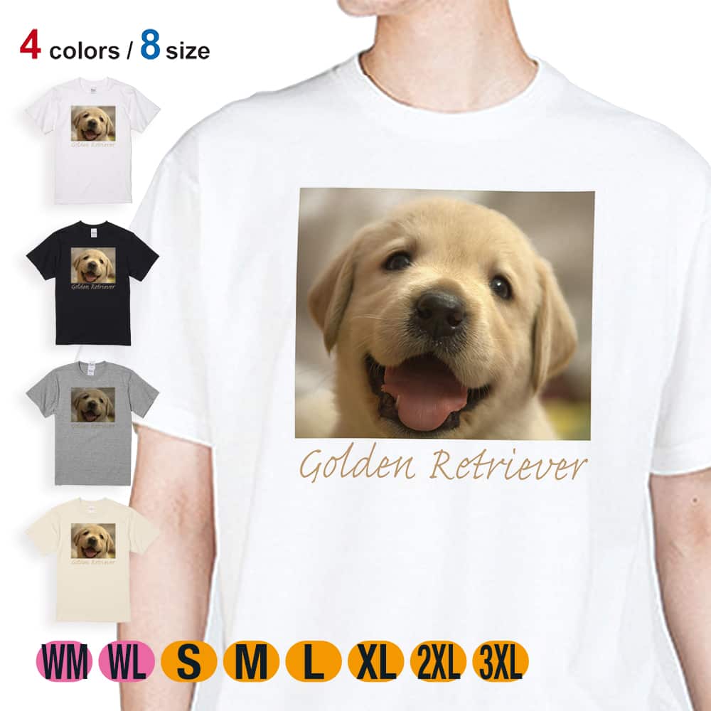 【希少】ジューシークチュール Tシャツ柄 チャーム グリーン ゴールド 犬 箱付 希少】ジューシークチュール Tシャツ柄 チャーム グリーン