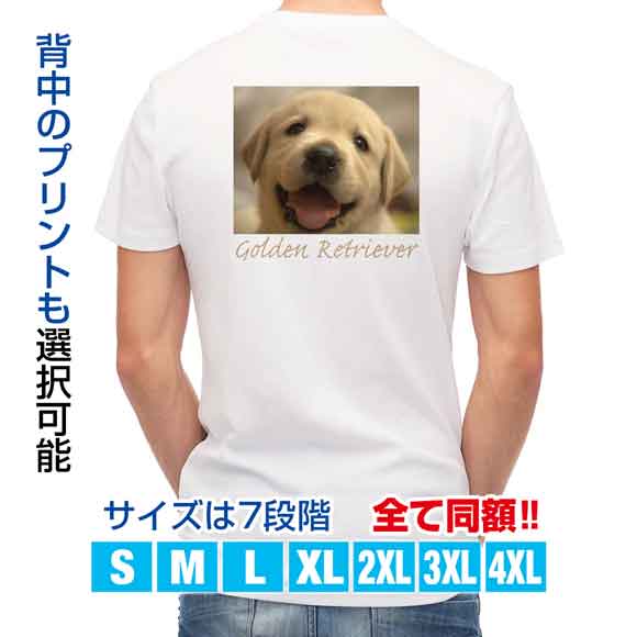 Tシャツ ゴールデンレトリバーの子犬 送料無料 レディース 犬 イヌ