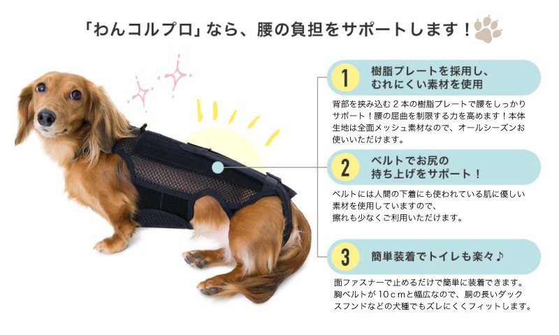 犬用品 犬用コルセット ハーネス 術後 介護 わんコルプロ Sサイズ 日本製 ダイヤ工業 anifull アニフル