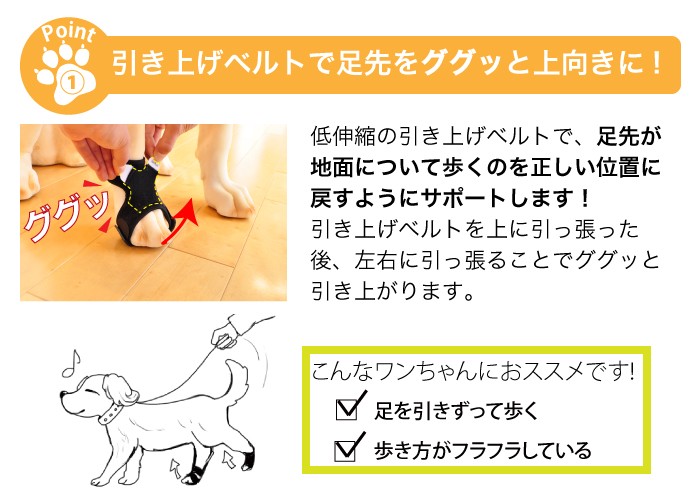犬用品 足 サポーター 指 爪 保護 アニサポ ナックルン Lサイズ 日本製 