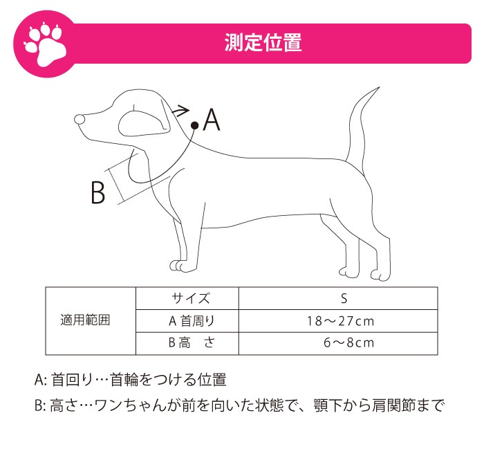 Amazon.co.jp: 福祉でがんばる! 盲導犬・聴導犬・介助犬 (新