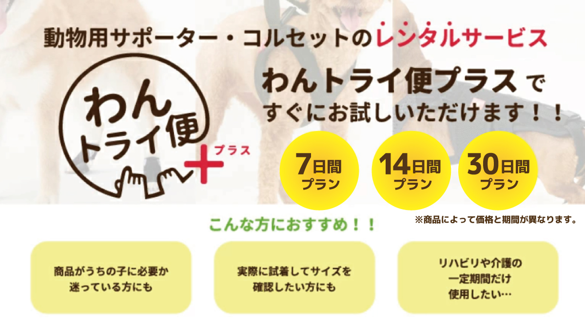 anifull 公式】【レンタルサービスわんトライ便+】7日間 アニサポ