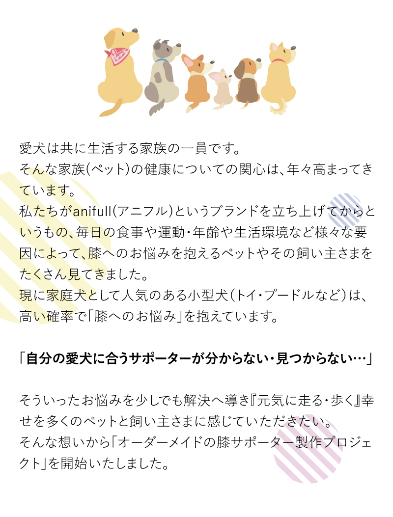 膝サポーター　犬用膝サポーター　前十字靭帯断裂　犬用サポーター　膝関節　　犬　前十字靭帯　断裂