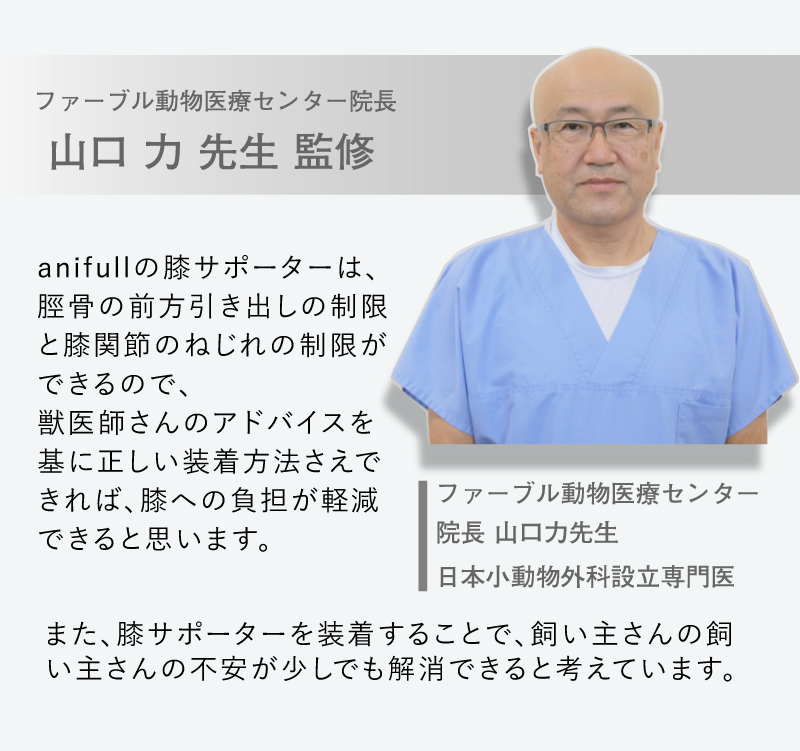 膝サポーター　犬用膝サポーター　前十字靭帯断裂　犬用サポーター　膝関節　　犬　前十字靭帯　断裂