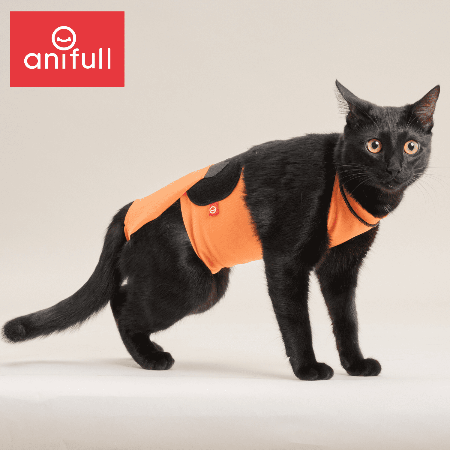 anifull 公式】 キズぐちエプロン 猫用 イエロー S アニフル 猫 ねこ