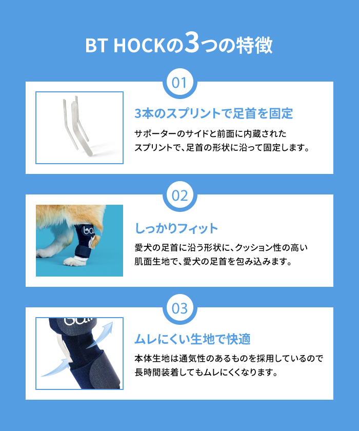 BT HOCK