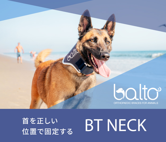 BT NECK