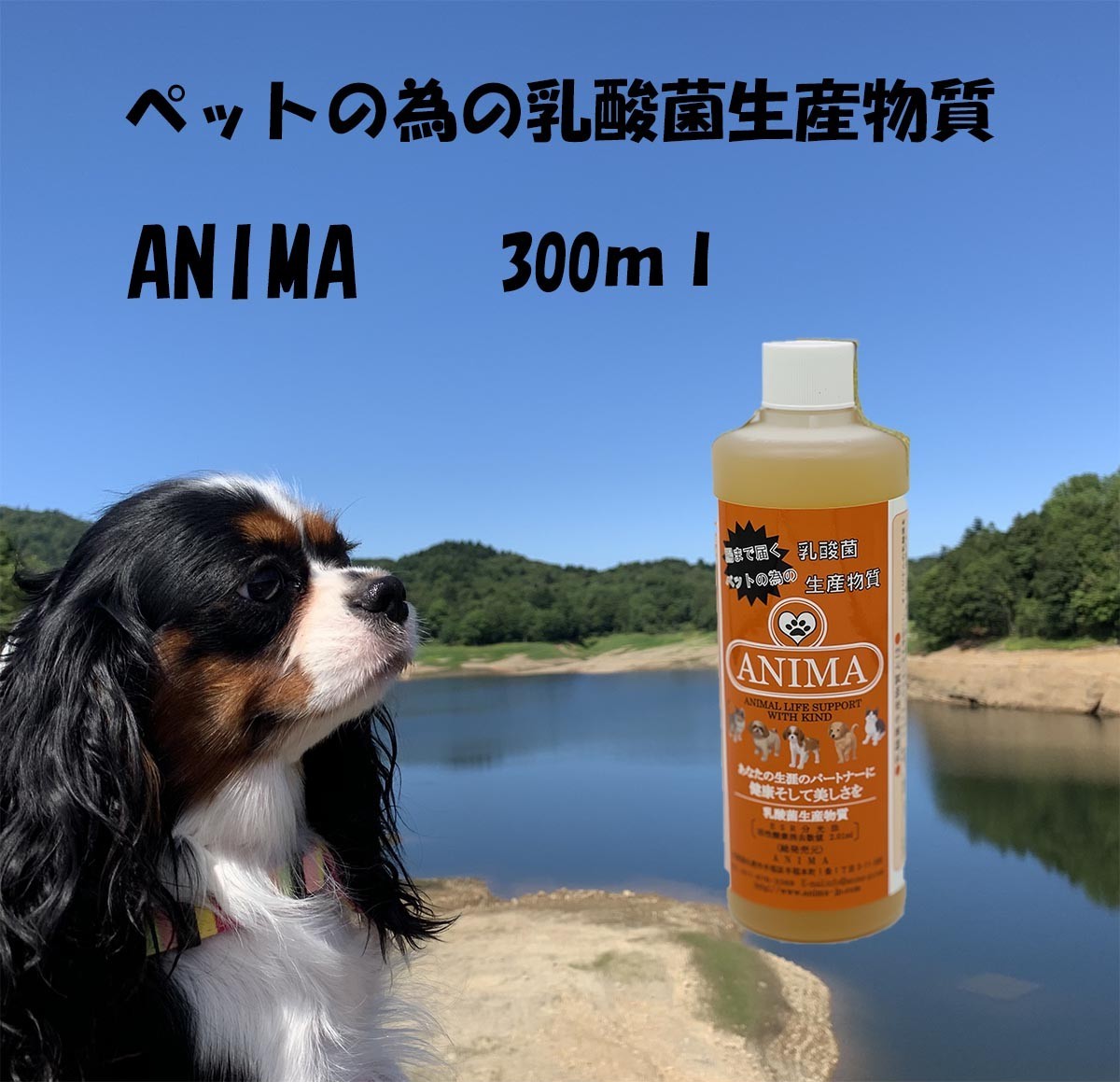 ペッタム ペット用テロメアサプリメント : ANIMA - 通販 - Yahoo