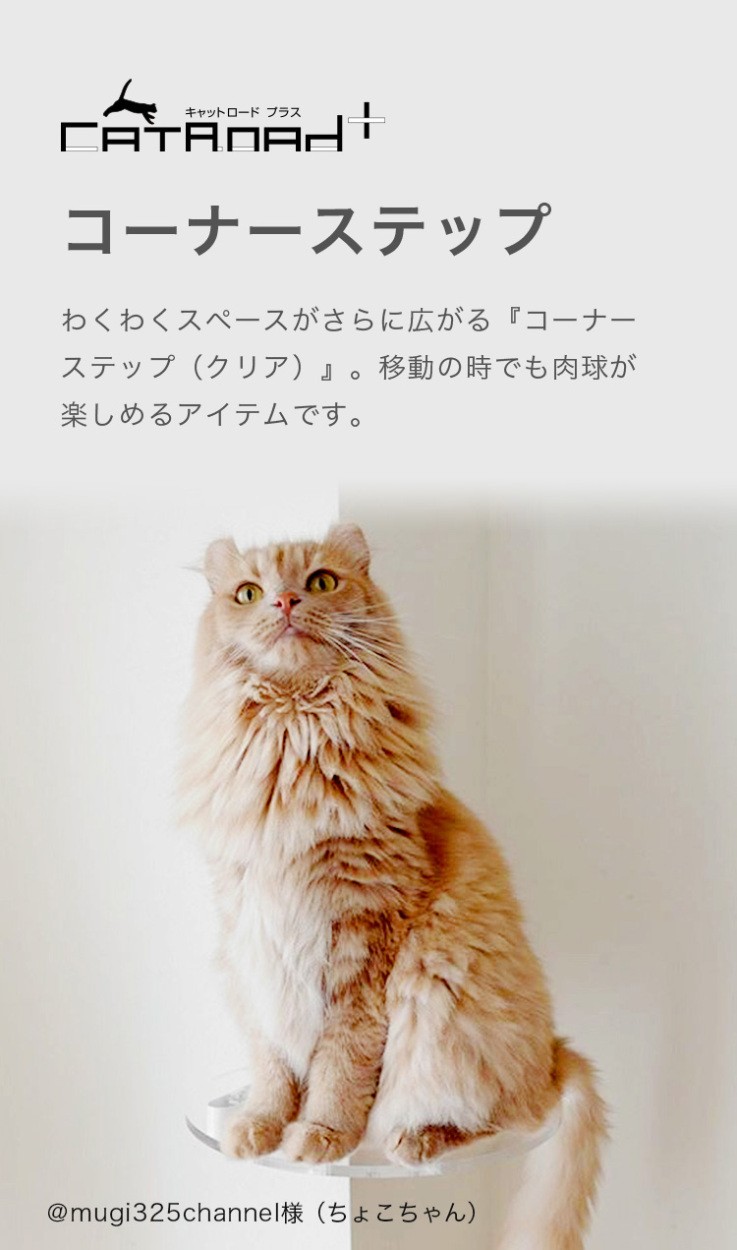 animacolle キャットタワー キャットウォーク キャットステップ animacolle キャットタワー キャットウォーク キャットステップ