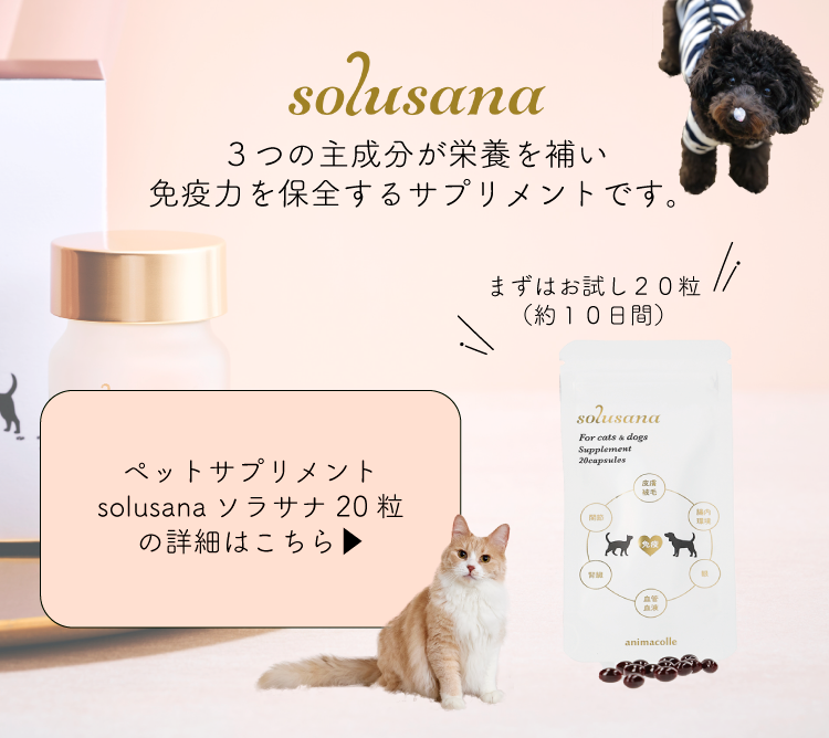 animacolle 【キャットムーン】animacolle(アニマコレ) 正規店 animacolle 【キャットムーン】animacolle(アニマコレ) 正規店