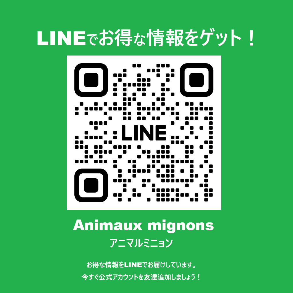 テトラ ミニフィルターキットの詳細画像4