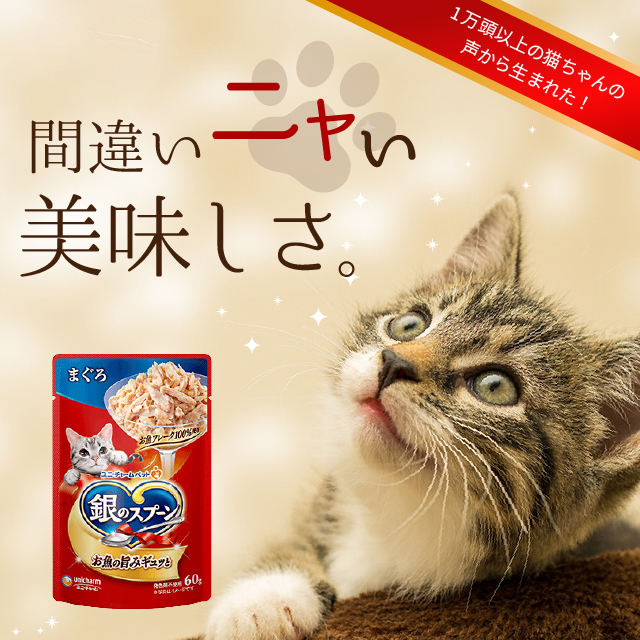 お値下げ中 mercibeaucoup モッズコートケモ耳 獣耳 クマ動物 Animaux mignons - Yahoo!ショッピング