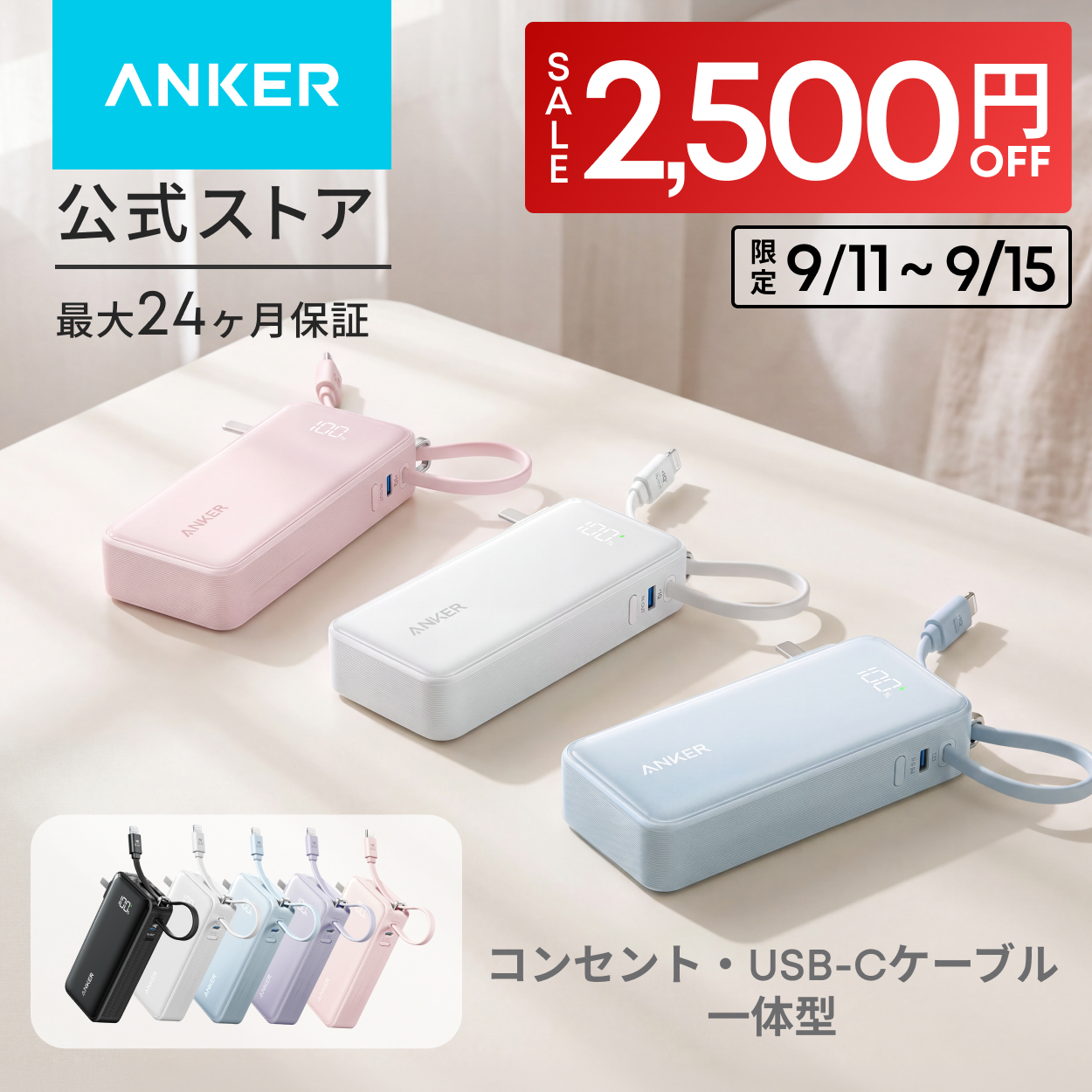 Anker（アンカー） Anker Power Bank (10000mAh, Fusion, Built-In USB