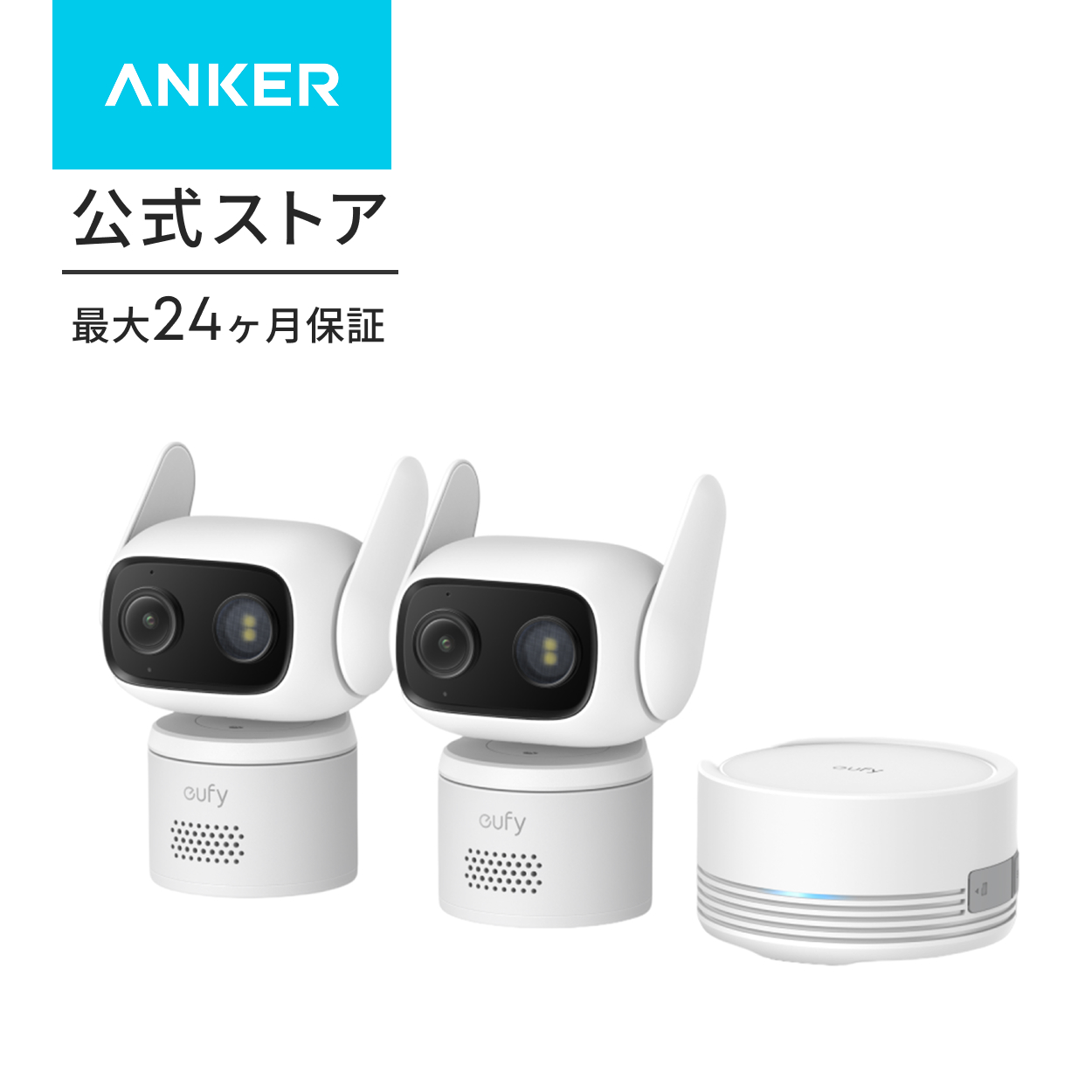 Eufy（Anker） Anker Eufy (ユーフィ) Wired Cam C31 2-Cam Kit (屋外