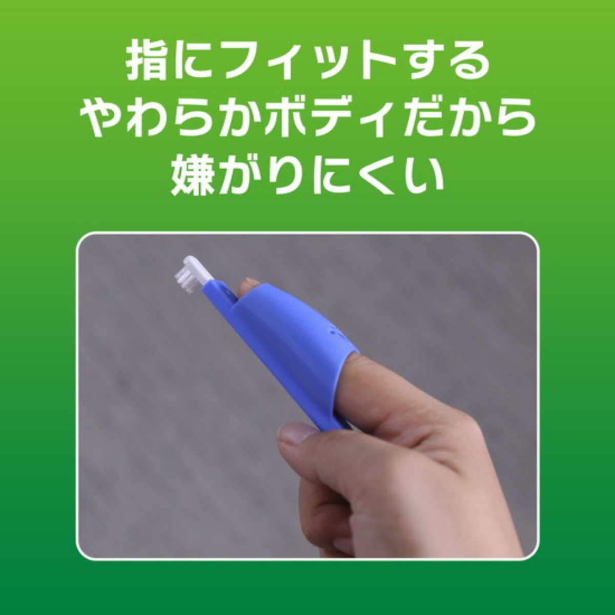 お口の小さい犬、猫用LION　PETKISS指サック歯ブラシコンパクト青　24本 PETKISS 指サック歯ブラシ コンパクト 1本 ペットキス PETKISS