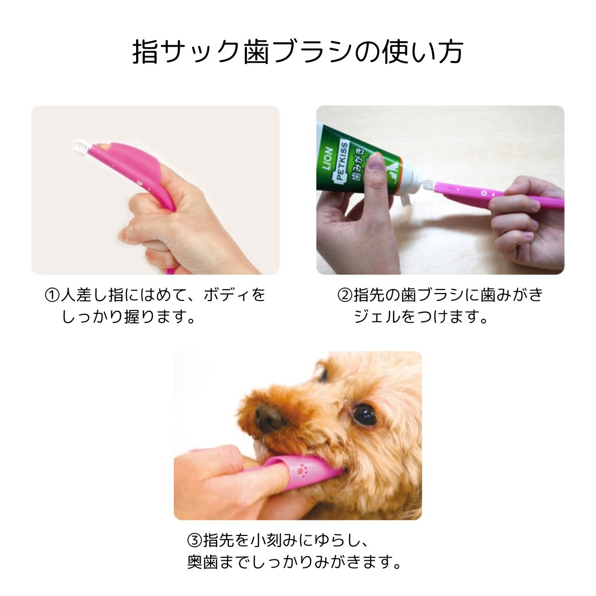 YOU♪お口の小さい犬、猫用LION指サック歯ブラシコンパクト青　22本 楽天市場】ペット用歯ブラシ ライオン PETKISS 指サック歯ブラシ