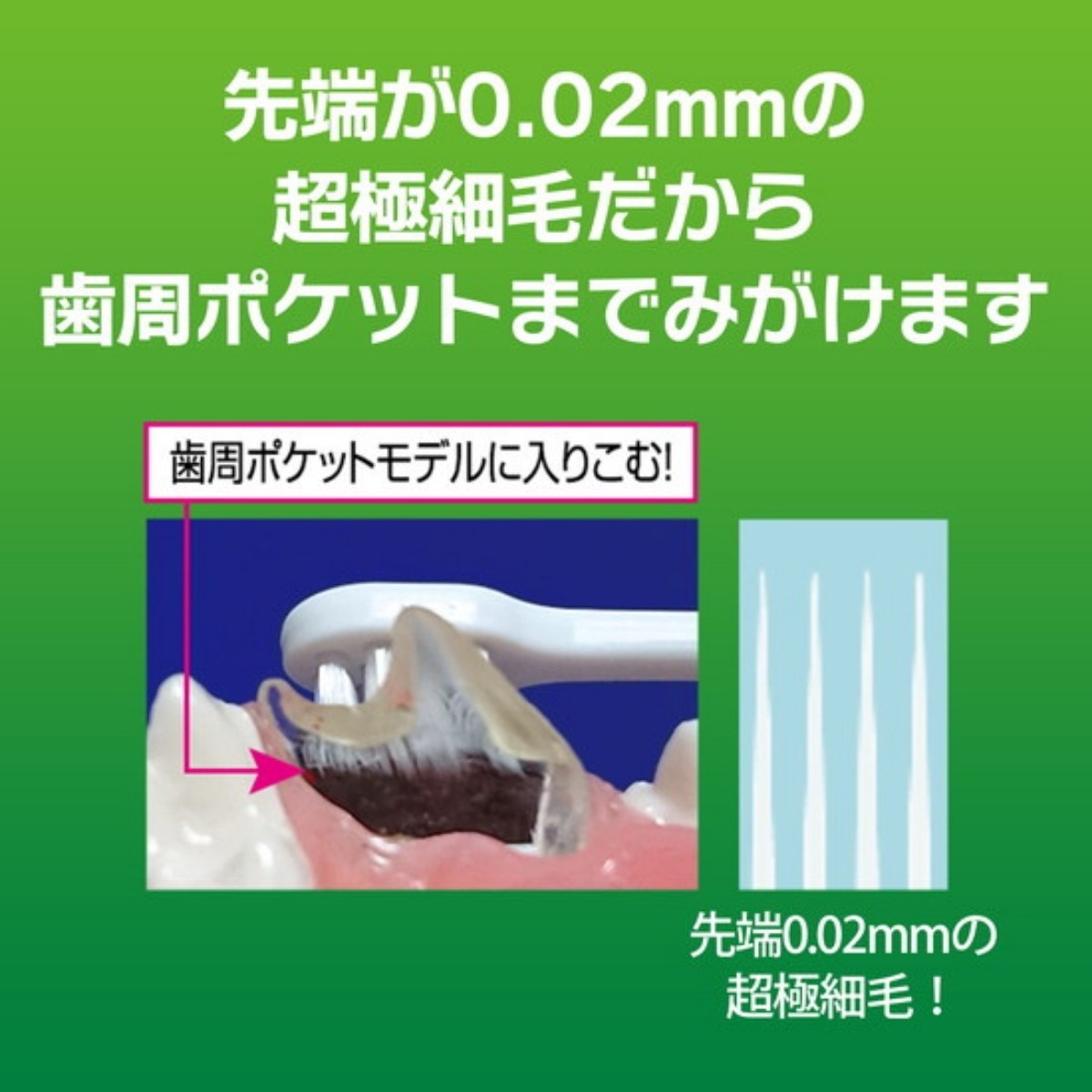 PETKISS デンタルブラシ レギュラー ライオン 犬用 1本 国産 : 雑貨の