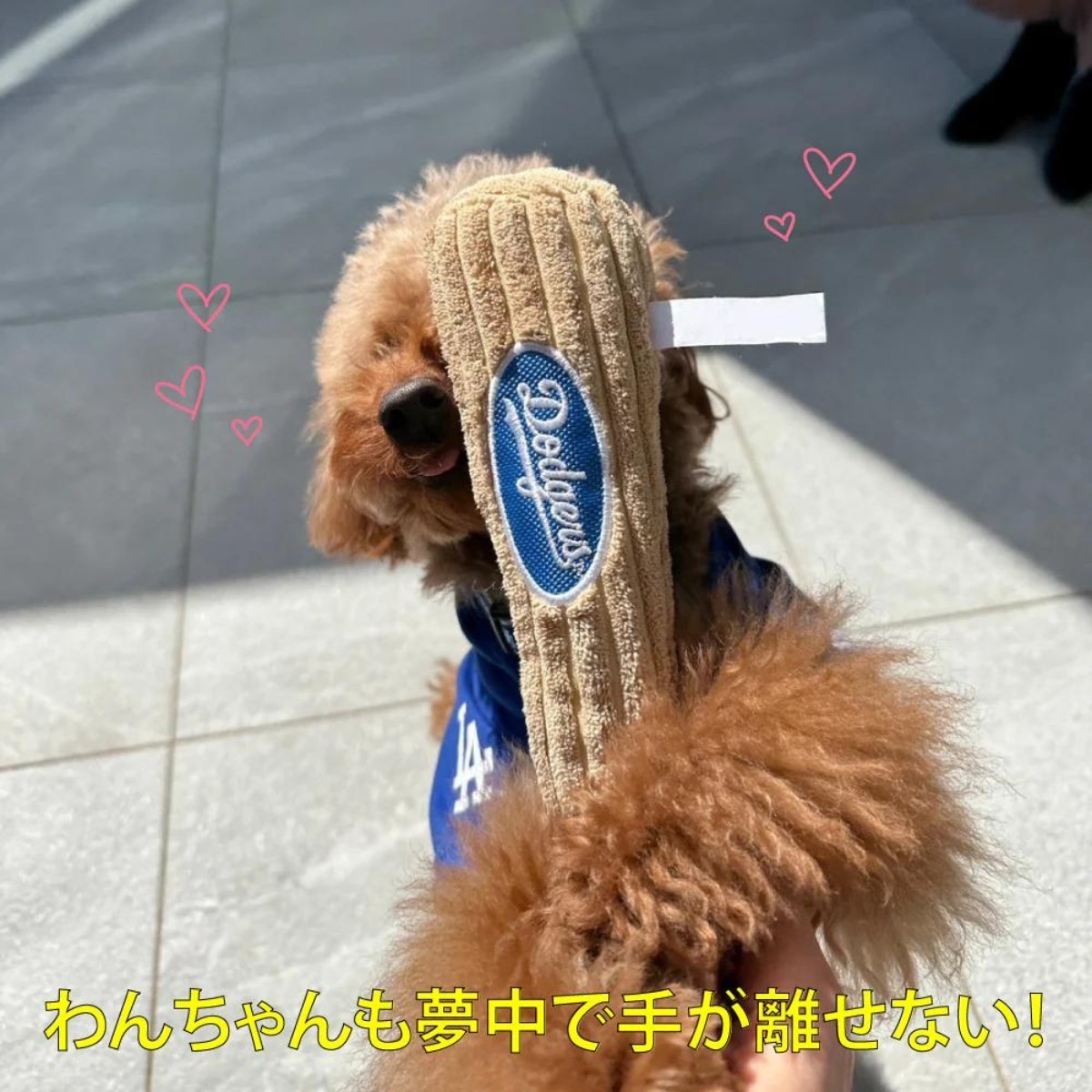 新品未使用 大谷翔平わんちゃんグッズ MLB公認 4点セット 新品未使用