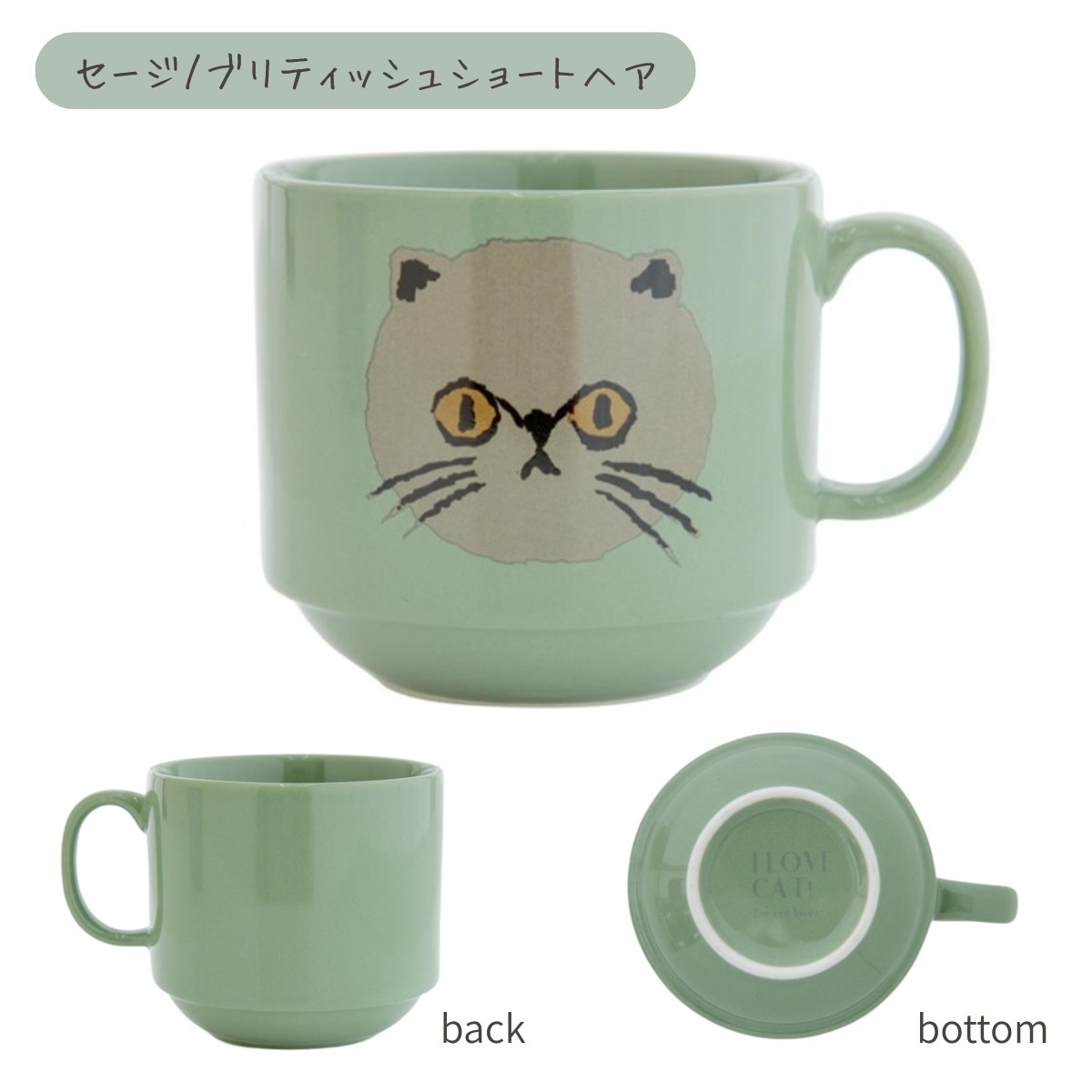 マグカップ アイラブキャット CDF etendue 300ml 個箱入り 磁器 食洗機