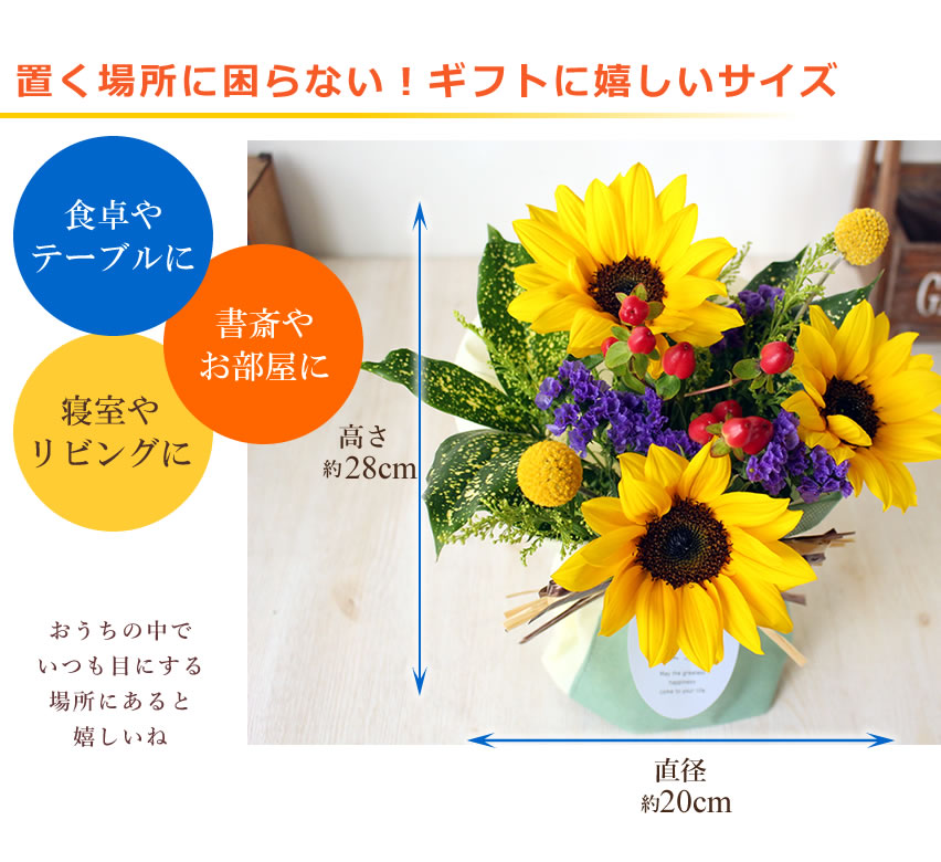 アンのお花屋さん ギフト セット 大輪ひまわり10本の花束 ひまわり