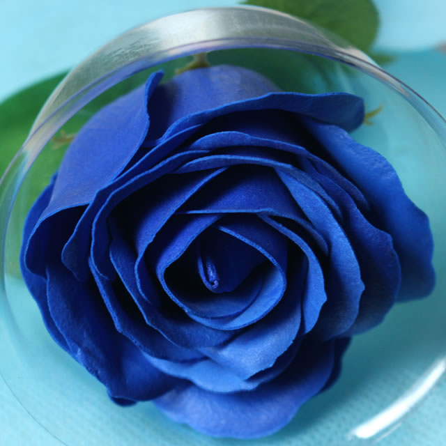 アンのお花屋さん フレグランスフラワー ソープフラワー いちりん