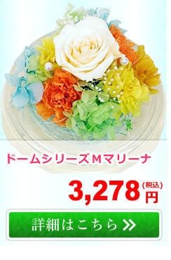 アンのお花屋さんYahoo!店 - プリザーブドフラワー｜Yahoo!ショッピング