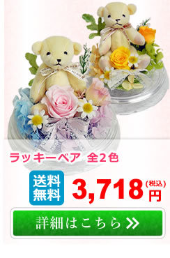 アンのお花屋さんYahoo!店 - プリザーブドフラワー｜Yahoo!ショッピング