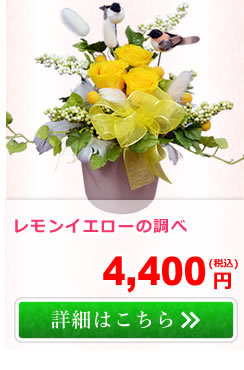 アンのお花屋さんYahoo!店 - プリザーブドフラワー｜Yahoo!ショッピング
