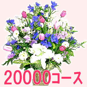 デザイナーズオーダー20000円コース
