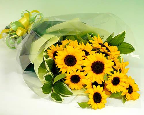 ds-kanai-sunflower-bundle2-mix