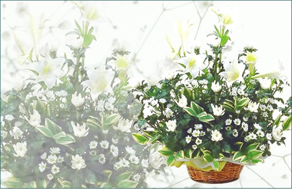 ユリと菊のお供え仏花、お盆花アレンジメント 楽天市場】ユリと菊のお供え花『優花』【Lサイズ