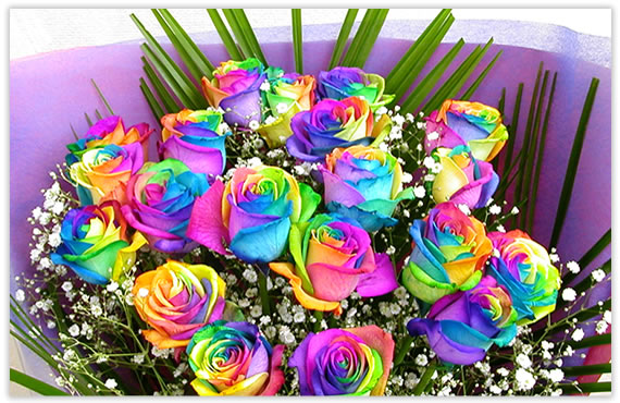 アンのお花屋さん 花束 バラ ギフト レインボーローズ 誕生日の花 薔薇
