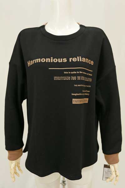 ayane 秋冬SALE【アヤン/梅春物/896106/40%OFF】ボンバーヒート丸首