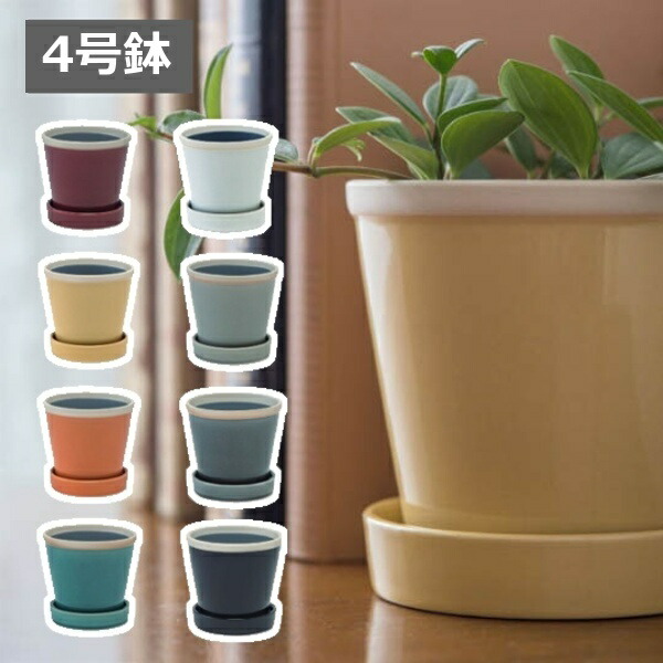 植木鉢 おしゃれ 陶器鉢 フラワーポット パステルカラー カラフル 皿
