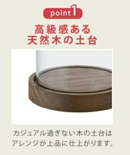 ドーム型 ガラスドーム 容器 インテリア 小物入れ 置物 展示用ガラス