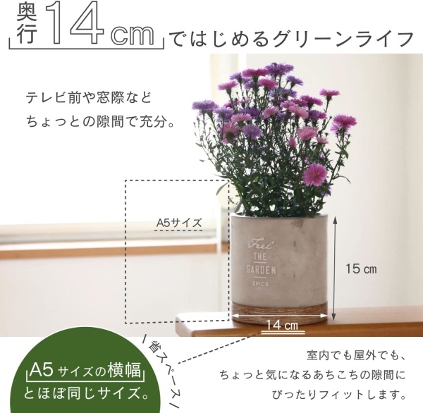 セメントプランター ラウンド L 4号目安 FEEL THE GARDEN CBGZ2013 スパイス 植木鉢 プランターカバー　フラワーポット 花  鉢 観葉植物 おしゃれ