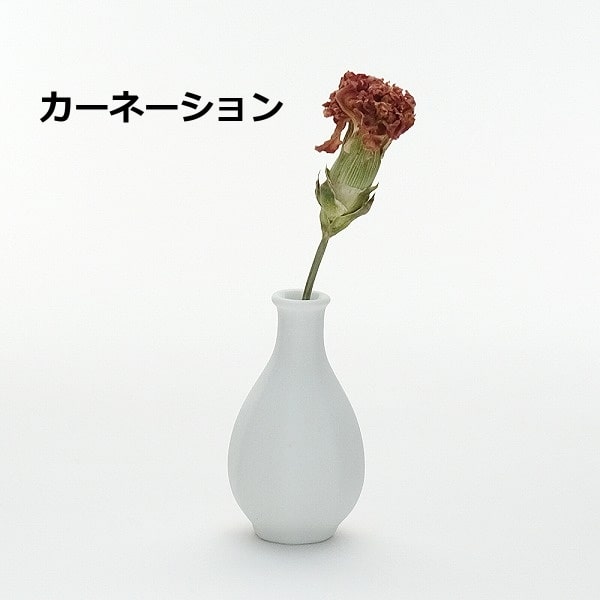 花瓶 涙壺 ドライフラワー付き（フラワーベース 志成販売 磁器 ドライ
