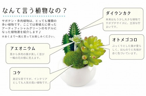 キシマ（KISHIMA） サキュレントリフレリウム 消臭アーティフィシャル