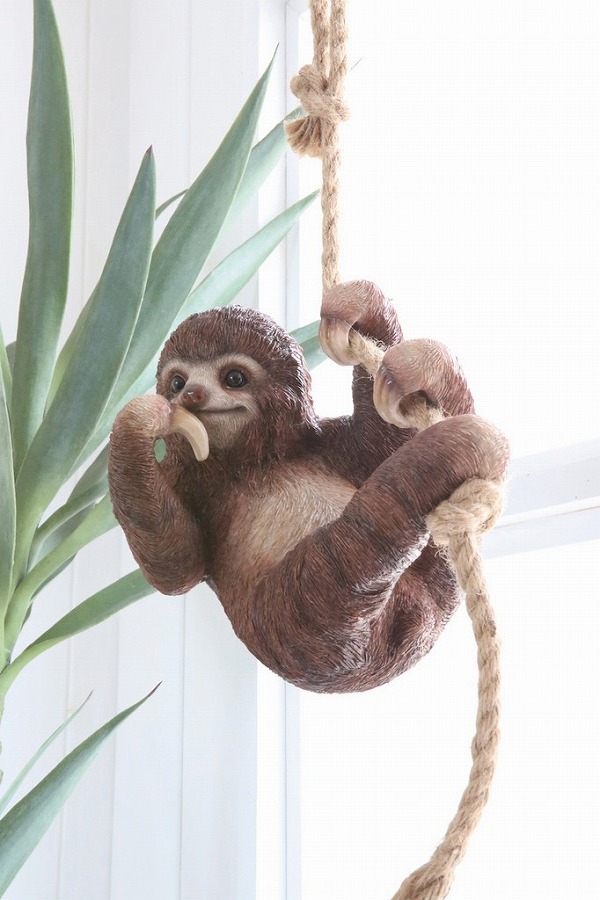 なまけもの ベイビー・スロース なまけもの ナマケモノ アンティーク調 (COVENT