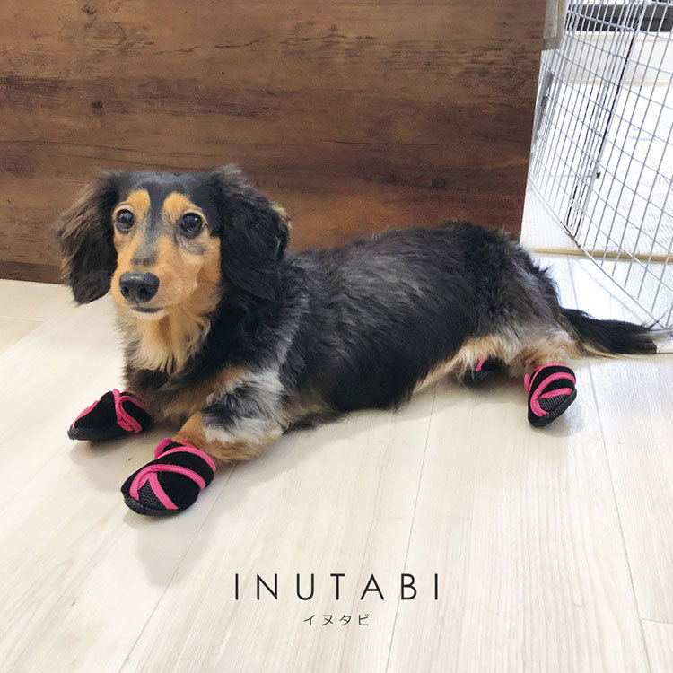 いぬたび　犬用ドッグシューズ XS Amazon | 犬の靴 いぬたび 犬用靴 アップルグリーン XSサイズ 2
