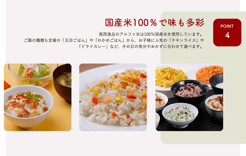尾西食品 調理不要 防災 尾西のアルファ米 白飯 1袋100g ×5袋 5