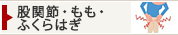 股関節・もも・ふくらはぎ