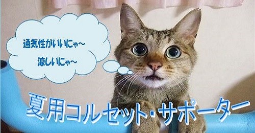 夏用サポーター・コルセット