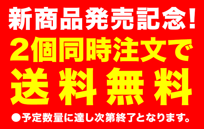 2台同時注文で送料無料！