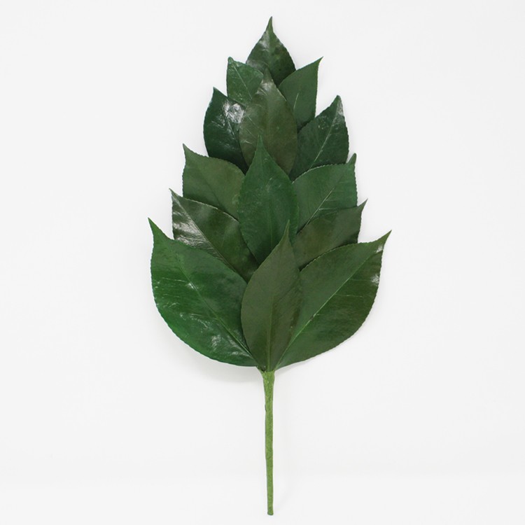 神籬用榊葉 90cm 三尺 ＋ 入れ物 ヒノキ 観葉植物