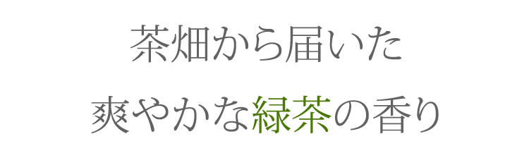 【人気のお線香の詰合せ】【柑橘】【緑茶】【消臭成分配合】【お線香】【進物用線香】【新盆見舞い】【お盆】【喪中見舞】【お悔やみ】【喪中はがきが届いたら】【贈答用】